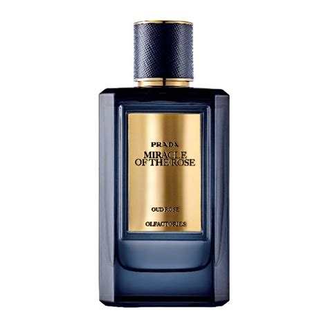 prada miracle of rose